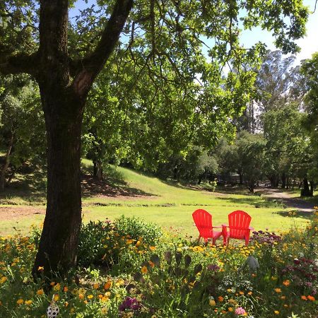 Amitabha Wine Country Cottage Santa Rosa Luaran gambar