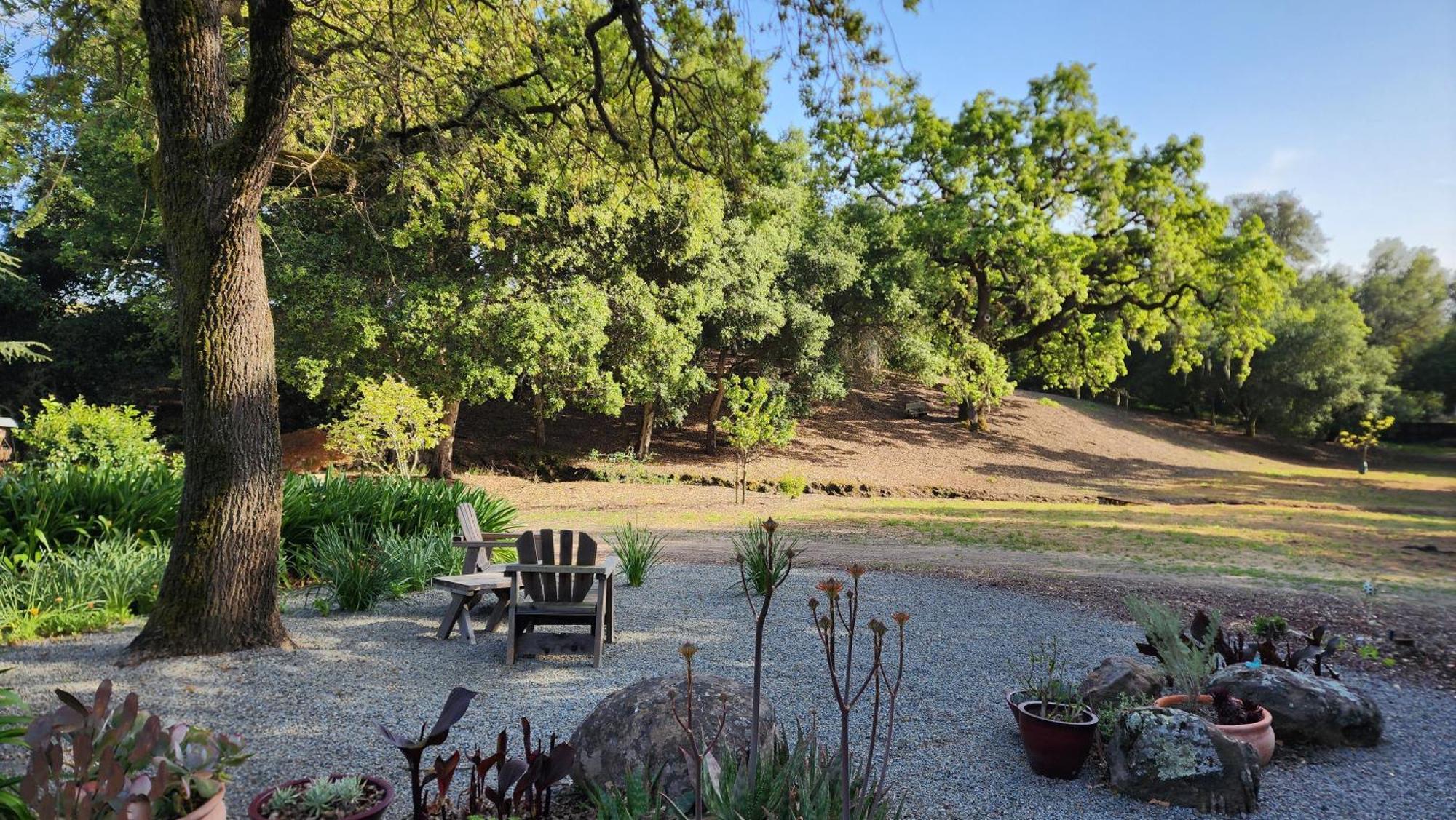 Amitabha Wine Country Cottage Santa Rosa Luaran gambar