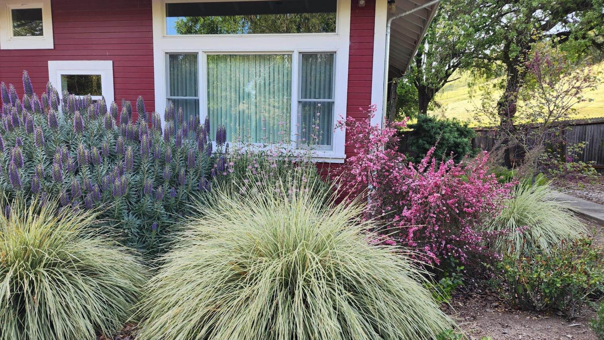 Amitabha Wine Country Cottage Santa Rosa Luaran gambar