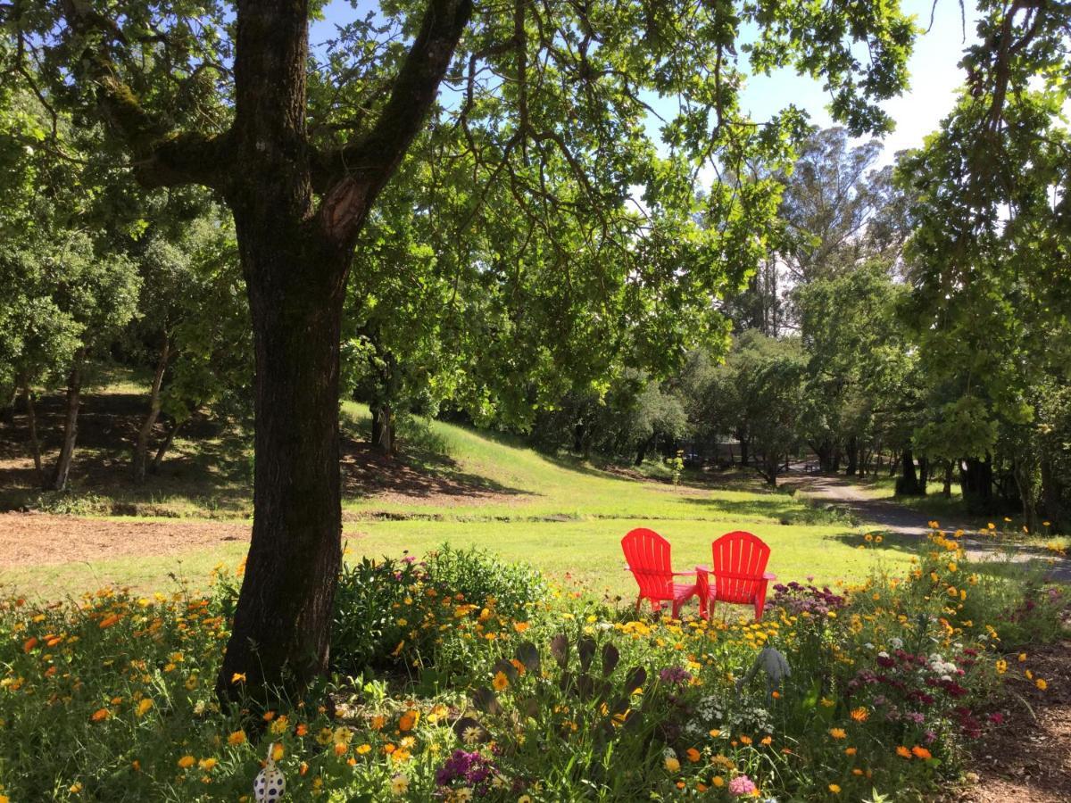 Amitabha Wine Country Cottage Santa Rosa Luaran gambar